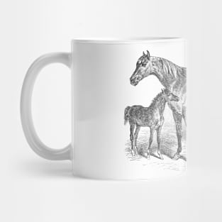 Mare and Foal Vintage Horse Illustration Mug